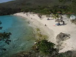 Grote Knip
