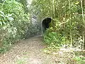 Entrance to the Guajataca Tunnel in Quebradillas, Puerto Rico