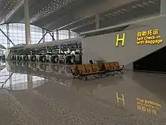 Self Check-in with baggage counter at Term­inal&nbsp;2