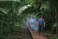 Image 6A low impact trail built for ecotourists to protect an archeological site in Guatemala