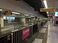 The Sotetsu platforms, February 2014