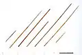 H000158-164- Arrow heads