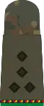 StHptm d.R.(Mech. infantry res.)