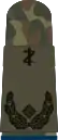 Oberstabsarzt(dent. medicine)