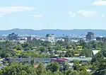 Hamilton
