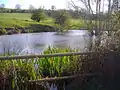 The headwater of the River Nene, on the north east slope of Arbury Hill in 2008