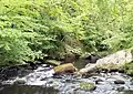 River Hebden