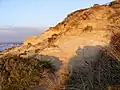 Hengistbury Head, cliff face on western end of Warren Hill.