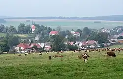 View of Herálec