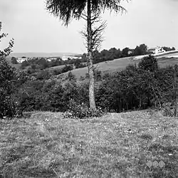 Gabrk in 1955