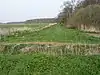 Holme Fen