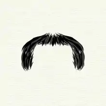 "Horseshoe" moustache style
