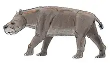 Huilatherium pluriplicatum