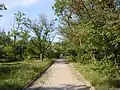 Hydropark avenues