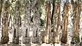 Views of wooden sculpture by Yesu Minja and Nanqui Nokwi, Membor Apokiom and Naui Saunambui, from Bangwis village, Kwoma, sponsored by Bonnie Brae, Stanford University.