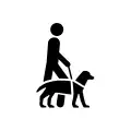 PF 046: Accessibility, assistance dog