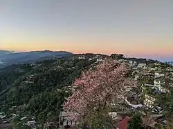 Zünheboto Town