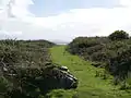 Grass path