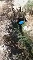 A contemporary water canal dug by farmers.