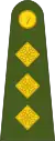 CaptaenIrish Army