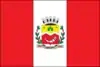 Flag of Irupi