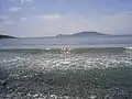 Rikord Island