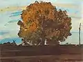 Great tree at Mártély (1910)