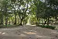 Paths