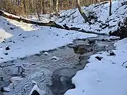Jacksons Creek In Forwood Preserve in Winter