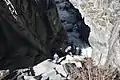 Jankar Nala gorge, Oct '20