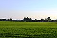 Juodžiai from the Pernarava-Pašušvys road