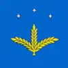 Flag of Kakhovka