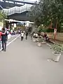 Karol Bagh Metro Station