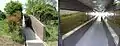 Viewing tunnel for south midden
