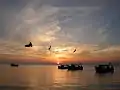 View from the dock at sunrise
