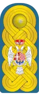 Vojvode epaulettes