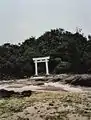 Tori on the beach in the east of Kohama-jima