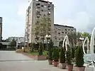 Tinex Market on the square