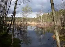 View of lake