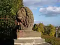 Lion on the viewing platform