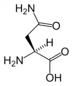 L-Asparagine(Asn / N)