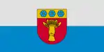 Flag of Rūjiena
