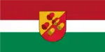 Flag of Viesīte