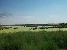 a view of Vega lake surrounded by marshlands on flat, almost treeless terrain