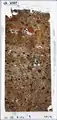 Micromorphological thin-section Lst-10307.