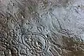Low relief rock art in a limestone pavement 1