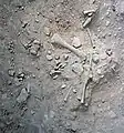 Burial 13. Excavation at phase 1.