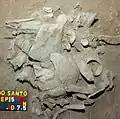 Burial 15. Excavation at exposition 4.
