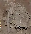 Burial 15. Excavation at exposition 9.