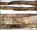 Burial 15. Perimortem fractures on the right radius